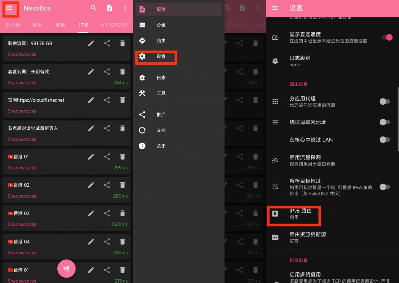 NekoBox for Android IPv6 设置路径