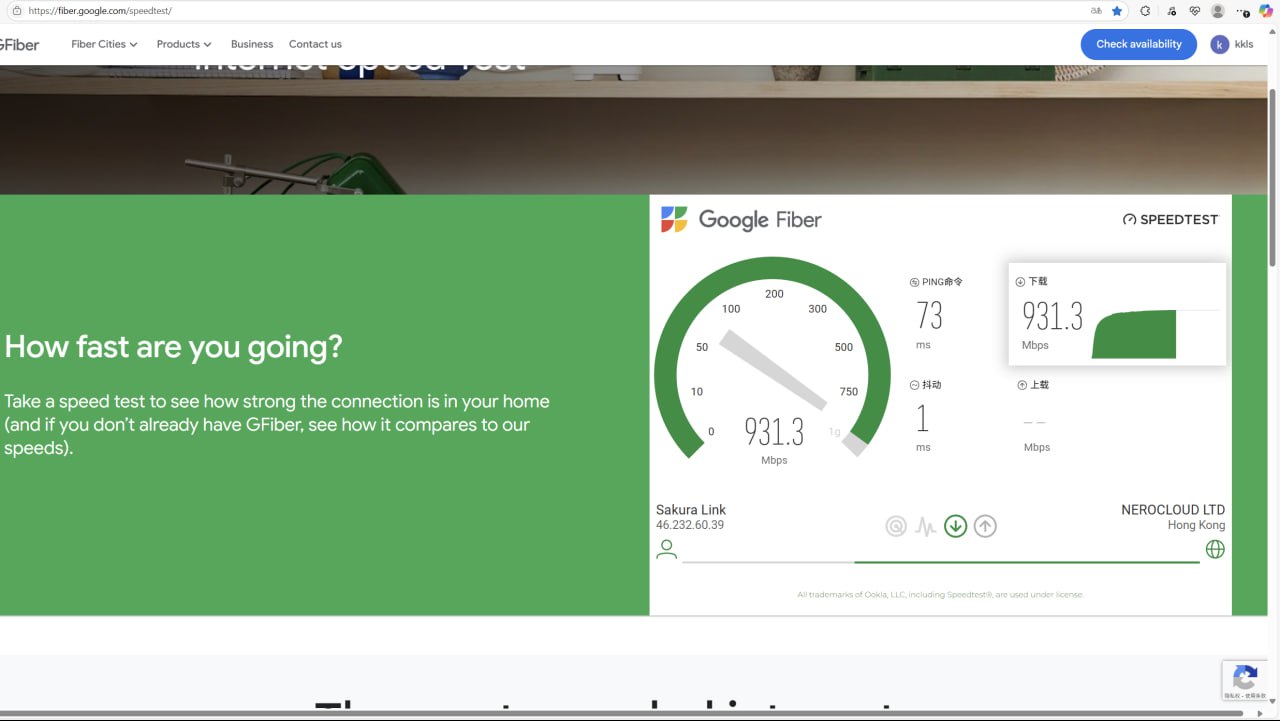 Google Fiber 测速图
